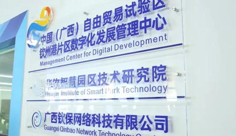 广西贸易公司的成功案例：多元化策略如何助力企业长足发展